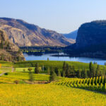 Blue Mountain Vineyard British Columbia