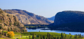 Blue Mountain Vineyard British Columbia