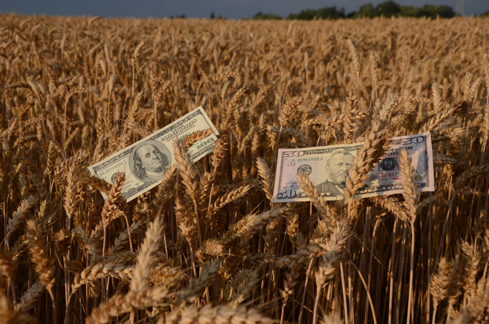 Farm bill deadlock clouds US ag safety net outlook