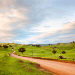 Australian farmland sees third straight quarter of positive annualized returns โ ANREV countryside