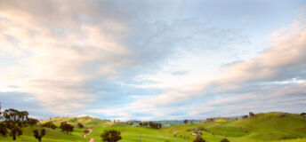 Australian farmland sees third straight quarter of positive annualized returns โ ANREV countryside