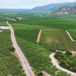 Regenerative agriculture: Astarte Capital Partners on securing the future of farmland farmland