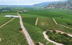 farmland