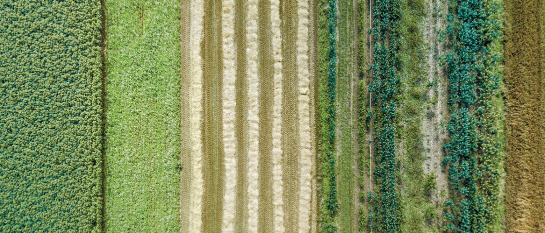 T9_03_Farmland An aerial photo of a field