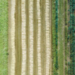 An aerial photo of a field