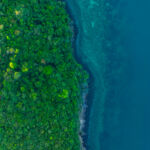 Aerial view of a dense, vibrant green coastal jungle meeting dark blue ocean water. A thin, rocky beach and white foamy waves separate the rugged terrain from the sea.concept nature