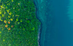 Aerial view of a dense, vibrant green coastal jungle meeting dark blue ocean water. A thin, rocky beach and white foamy waves separate the rugged terrain from the sea.concept nature