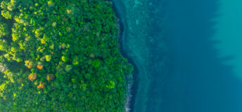 Aerial view of a dense, vibrant green coastal jungle meeting dark blue ocean water. A thin, rocky beach and white foamy waves separate the rugged terrain from the sea.concept nature