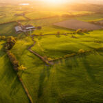 EU breeds carbon credit confidence, but leaves demand optional Farmland