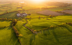 Farmland