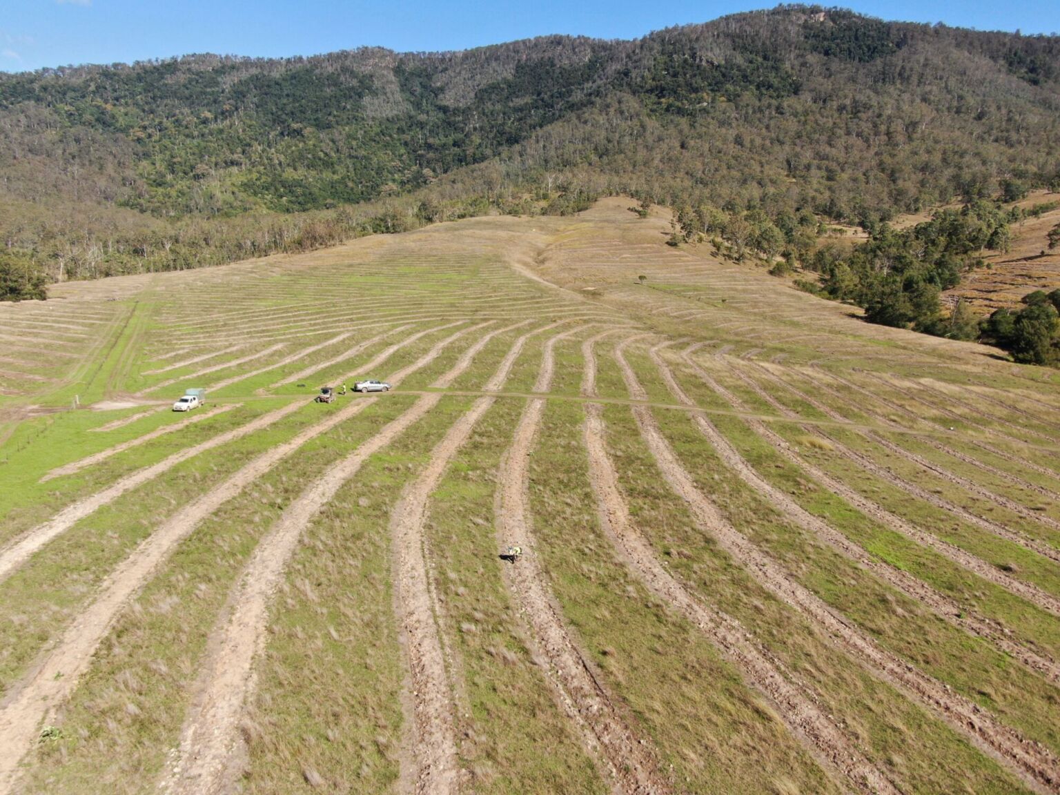 Australia’s biodiversity market could see 10 projects by year-end ...